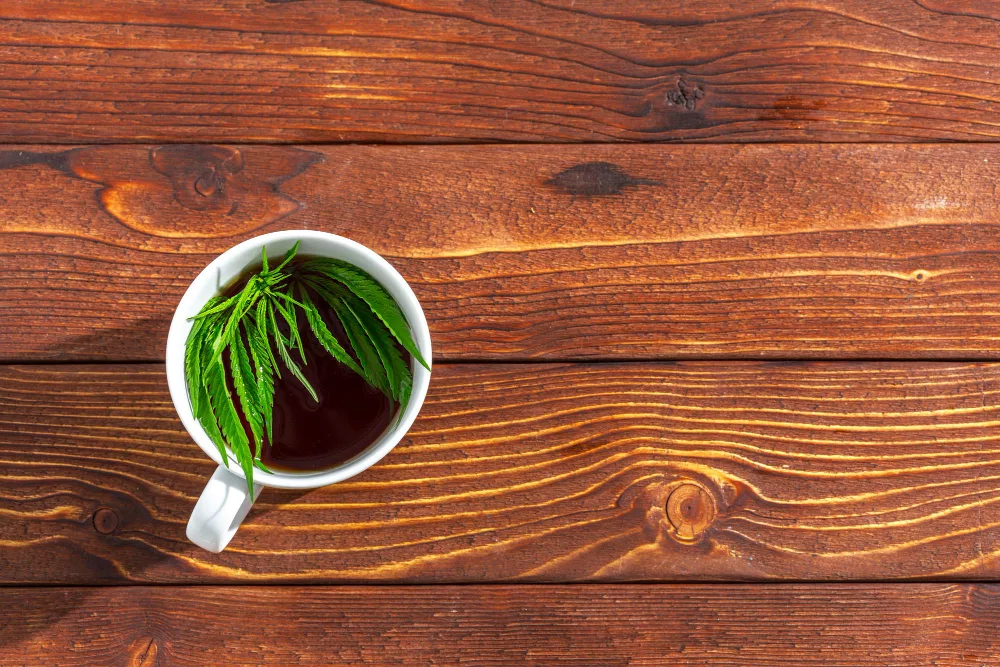 Comment choisir une infusion CBD bio ?