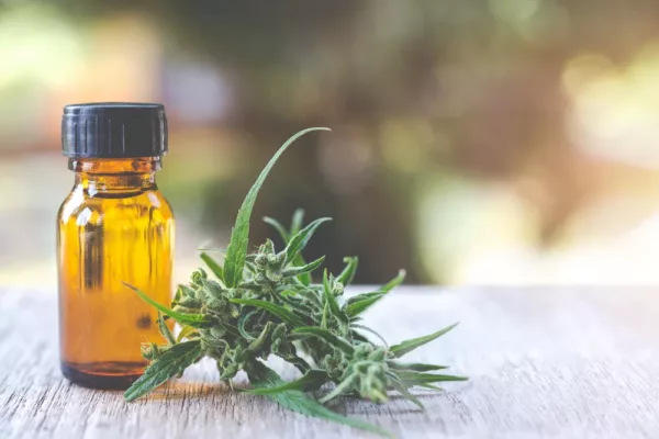 cbd puissant : comprendre les concentrations et choisir la bonne formulation
